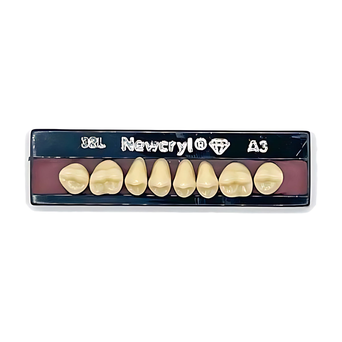 Dientes newcryl superior posterior