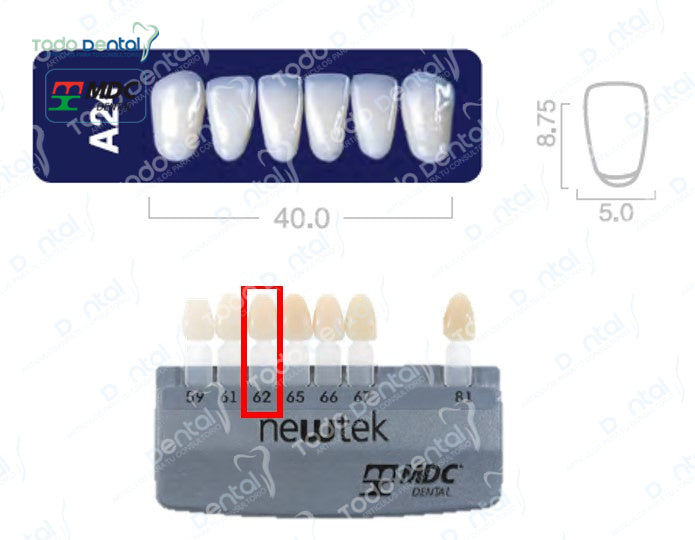 Diente new tek anterior inferior