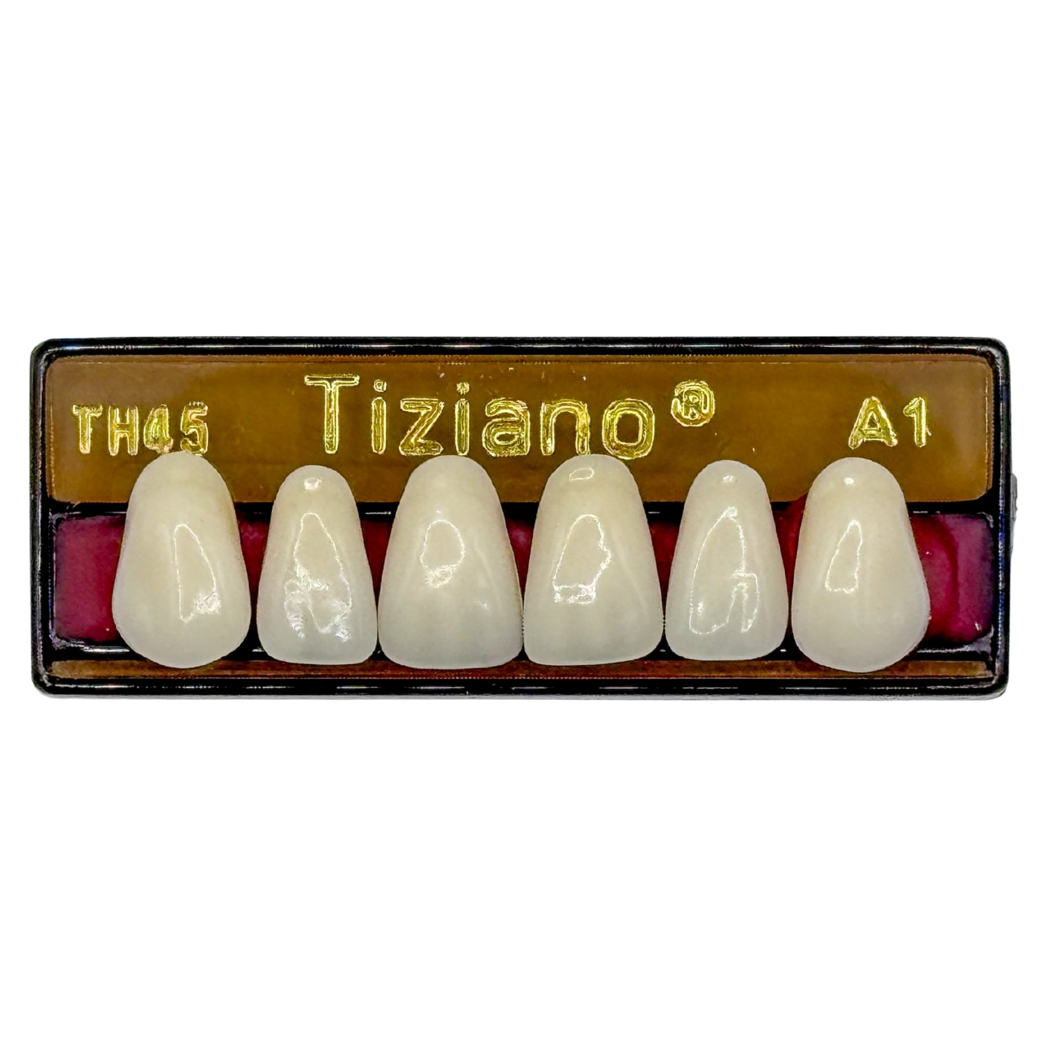 Dientes tiziano x 6 sa TH45 col A1