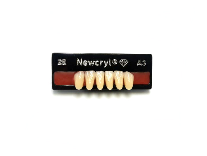 Dientes newcryl inferior anterior
