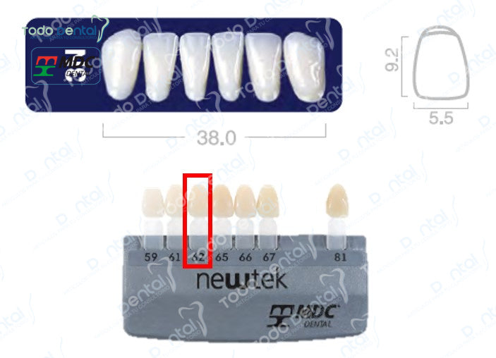 Diente new tek anterior inferior