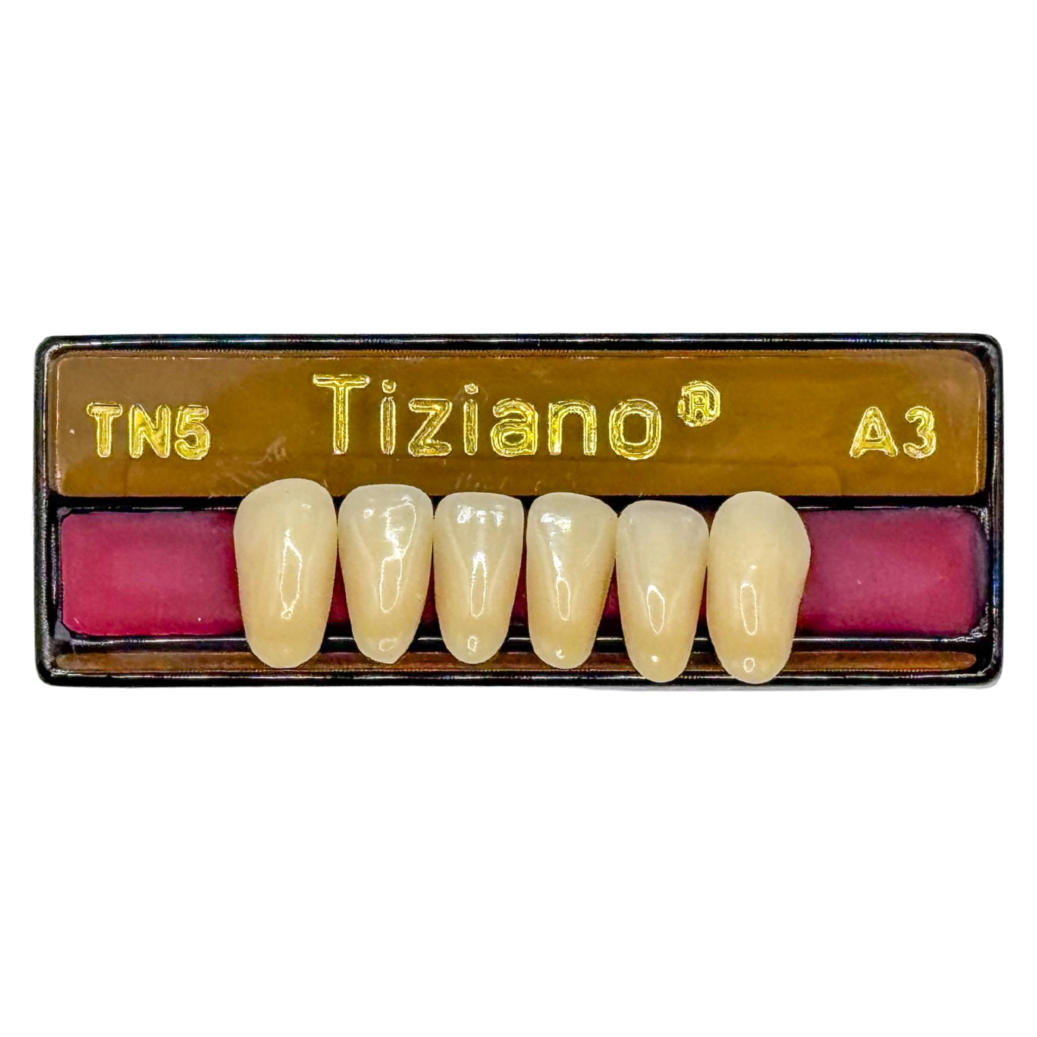 Dientes tiziano x 6 ia TN5 col A3