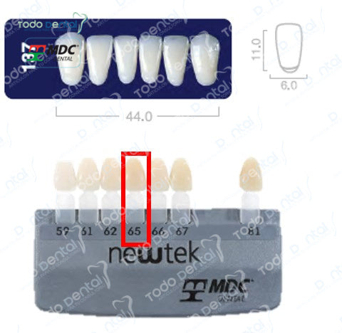 Diente new tek anterior inferior