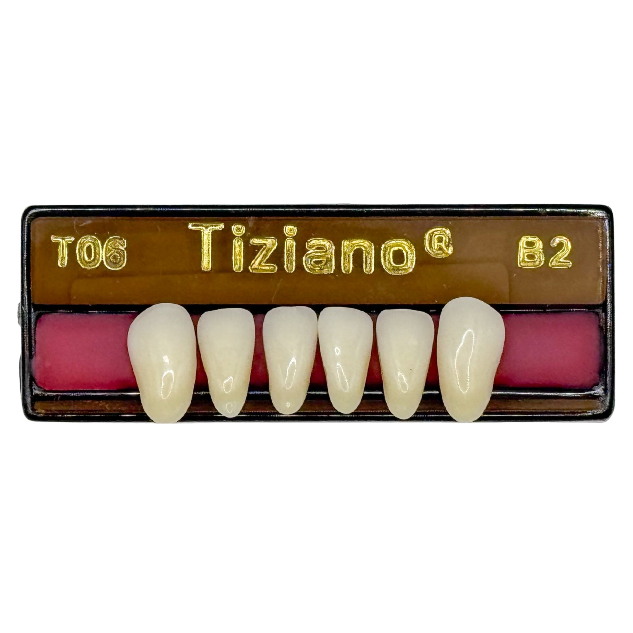 Dientes tiziano x 6 ia TO6 col B2