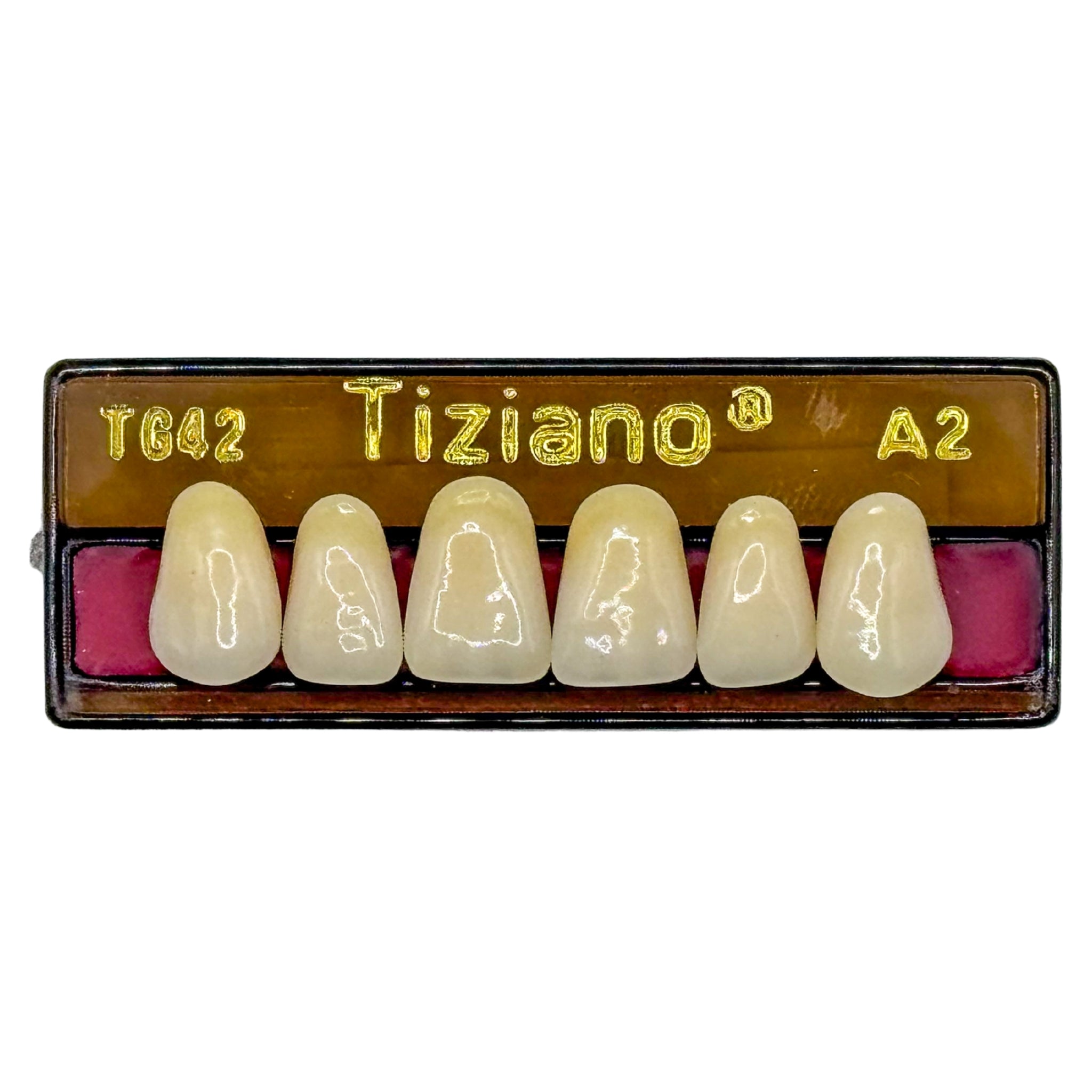 Dientes tiziano x 6 sa TG42 col A2