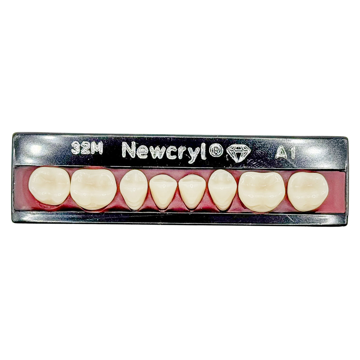 Dientes newcryl inferior posterior