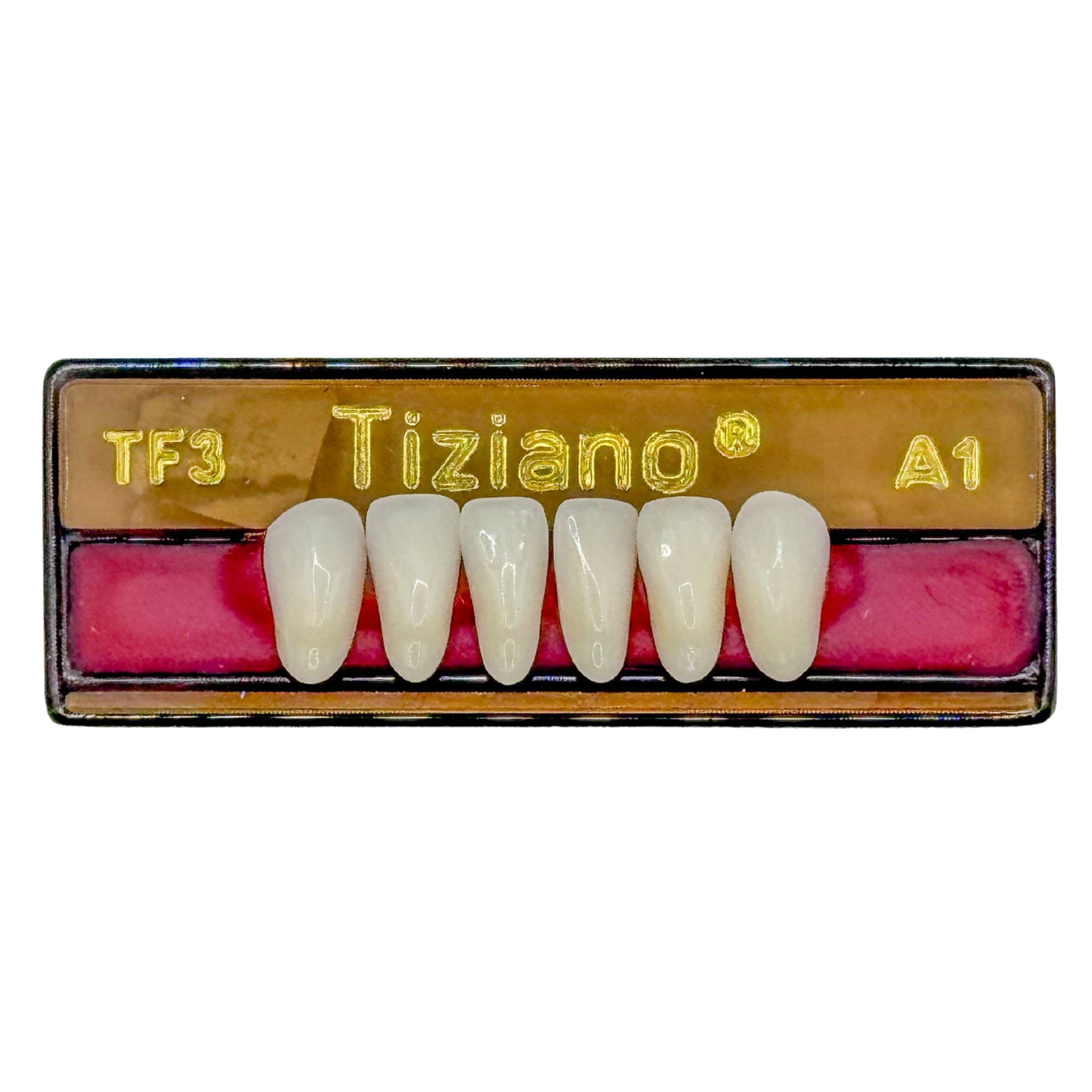 Dientes tiziano x 6 ia TF3 col A1