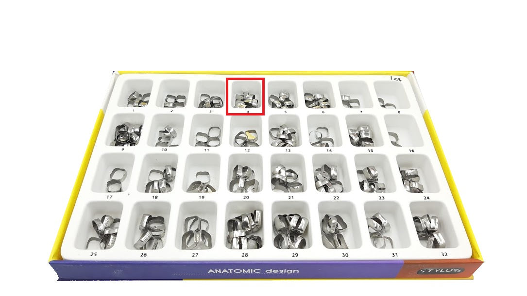 Banda anatomica 1 molar Borgatta Upper