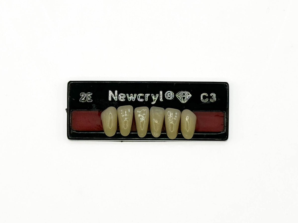 Dientes newcryl inferior anterior
