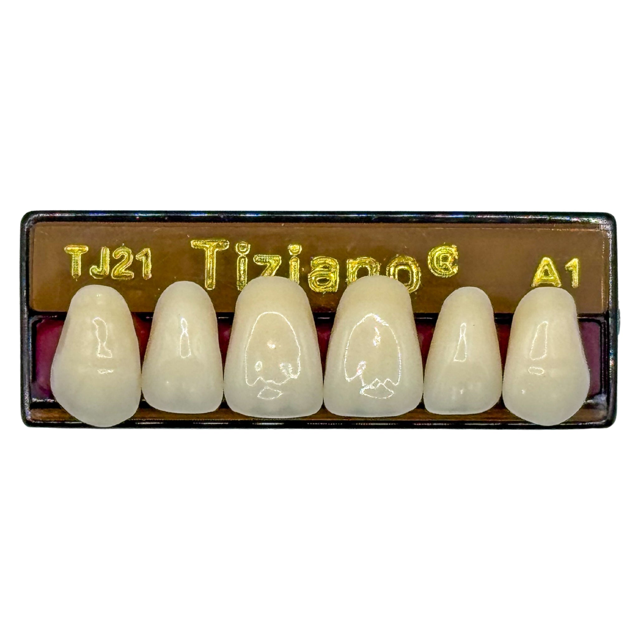 Dientes tiziano x 6 sa TJ21 col A1