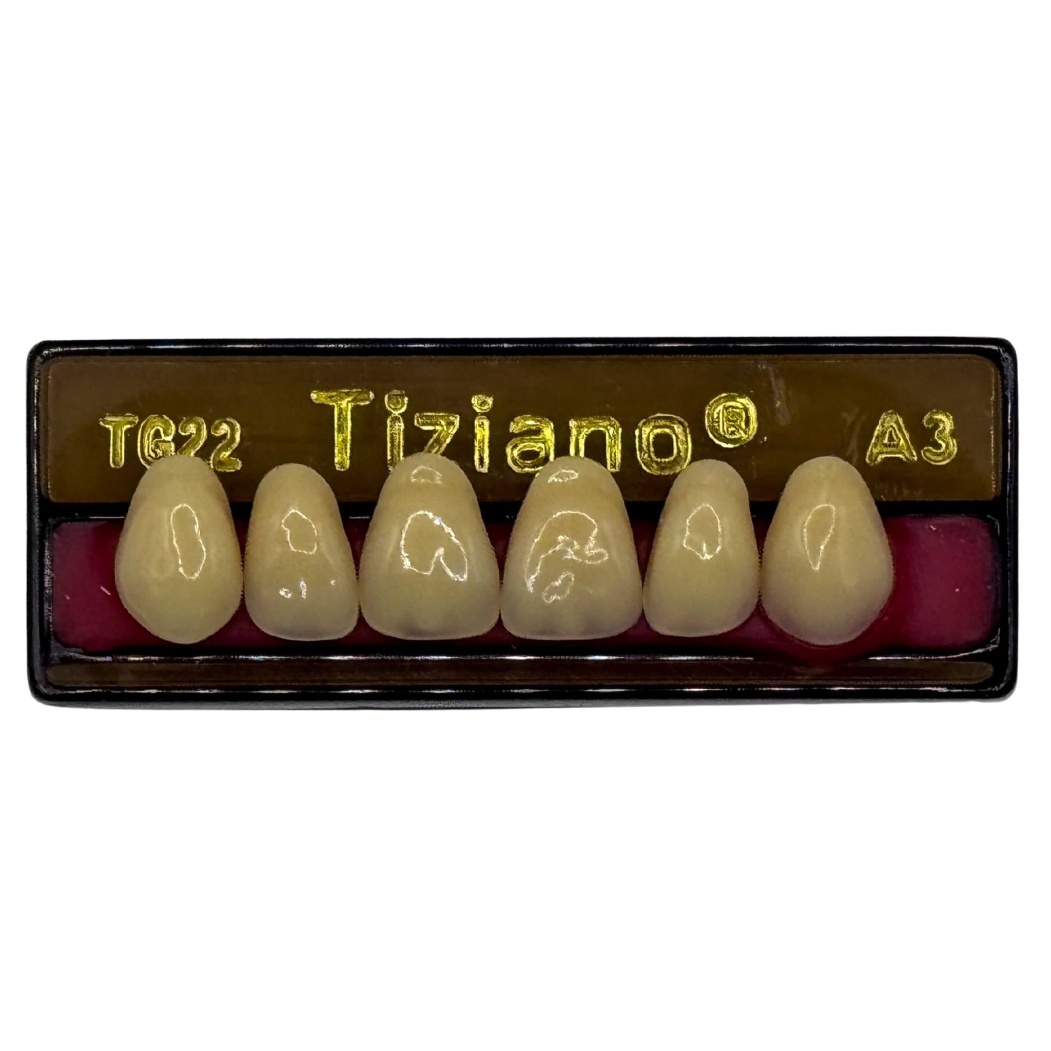 Dientes tiziano x 6 sa TG22 col A3