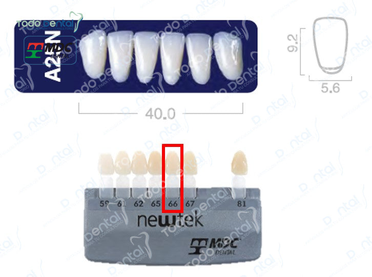 Diente new tek anterior inferior