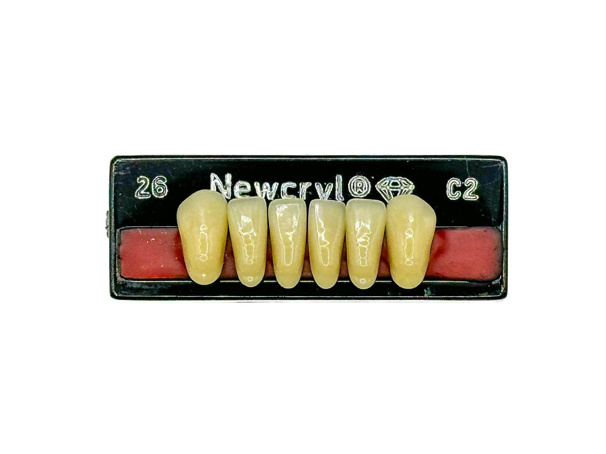 Dientes newcryl inferior anterior