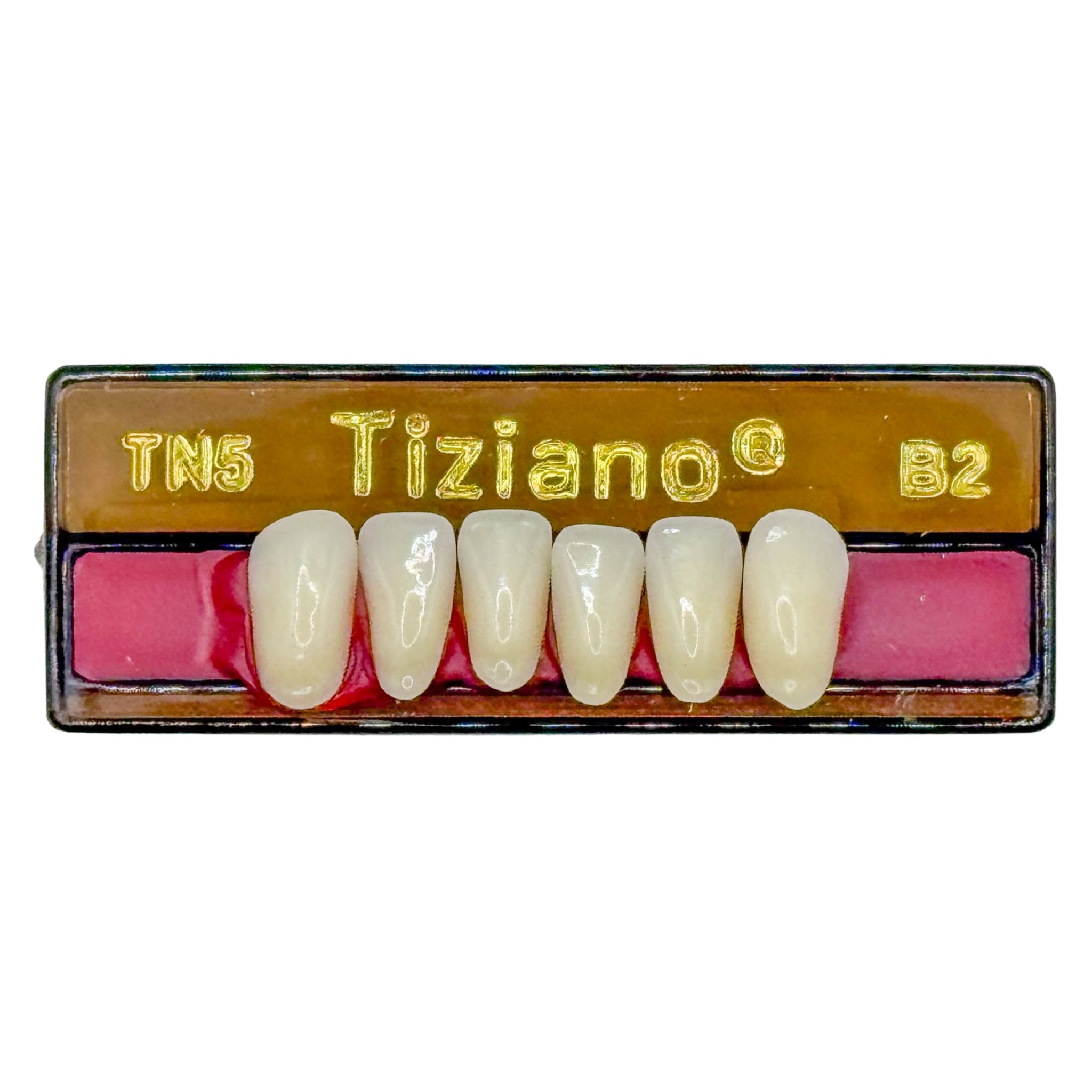 Dientes tiziano x 6 ia TN5 col B2
