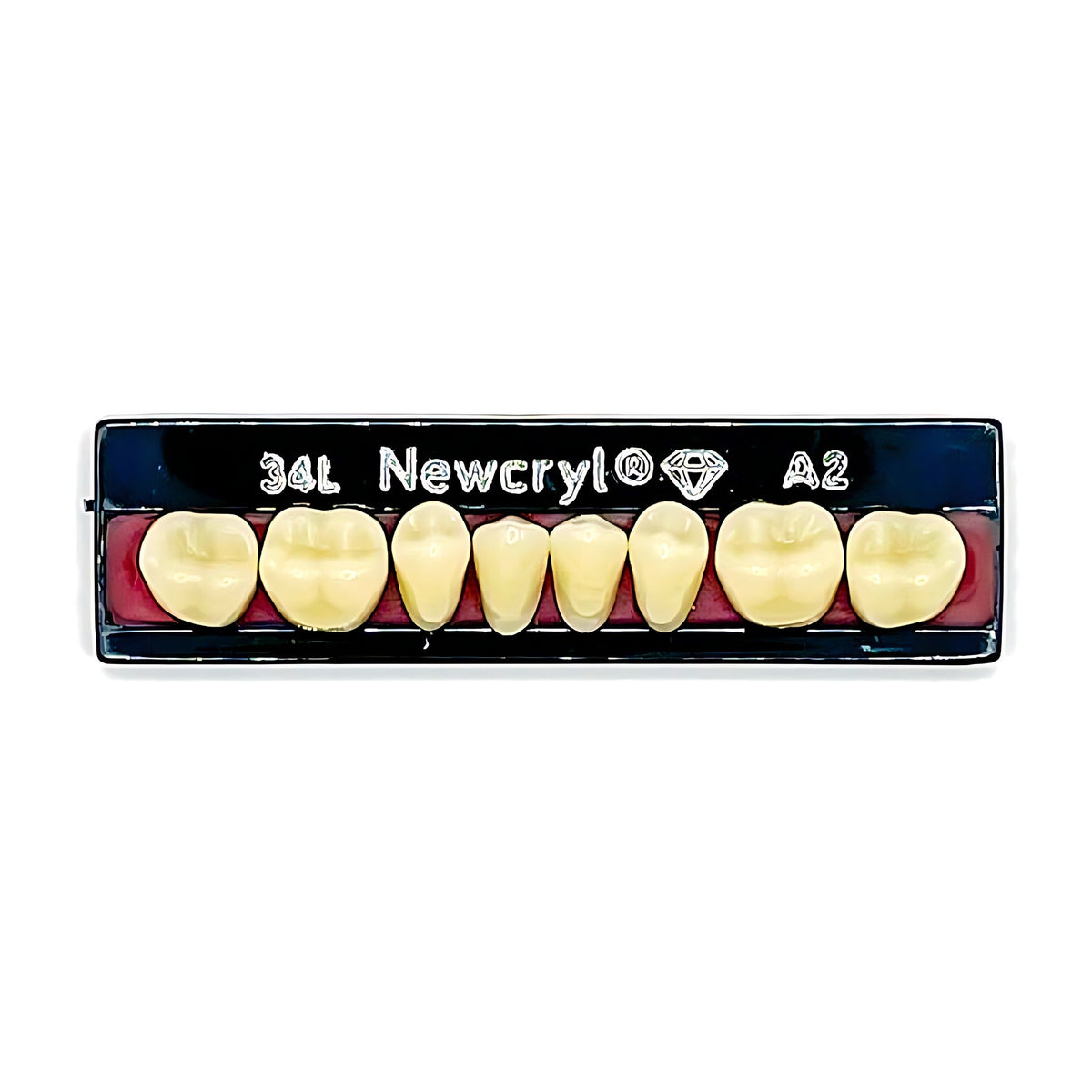 Dientes newcryl inferior posterior