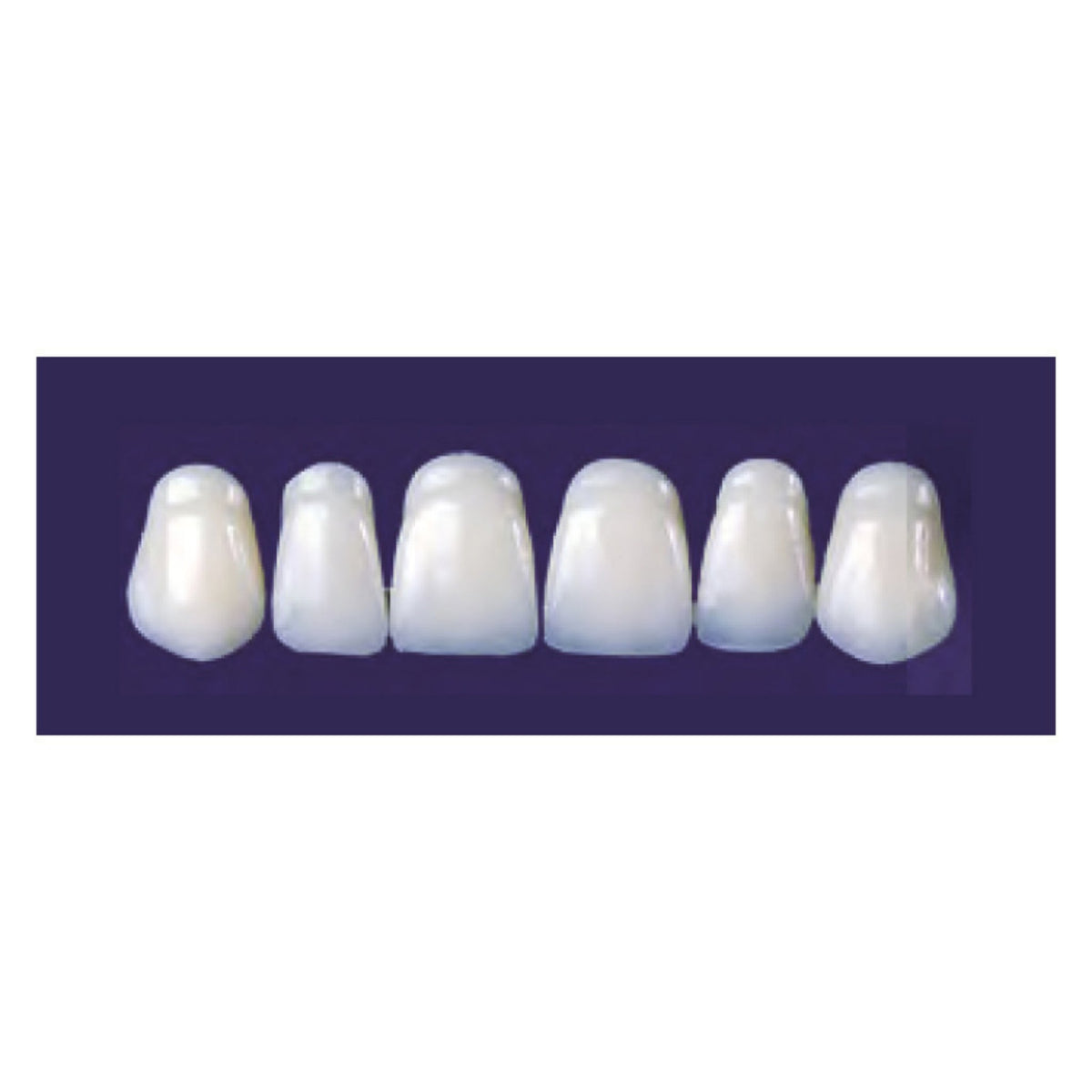 Diente new tek anterior superior — 150-136-62S