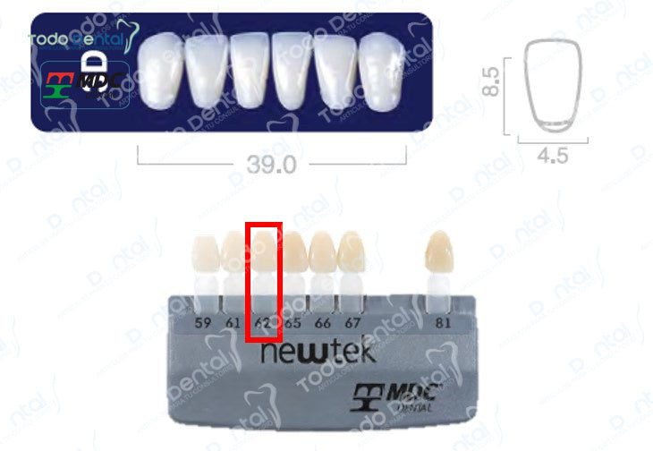 Diente new tek anterior inferior