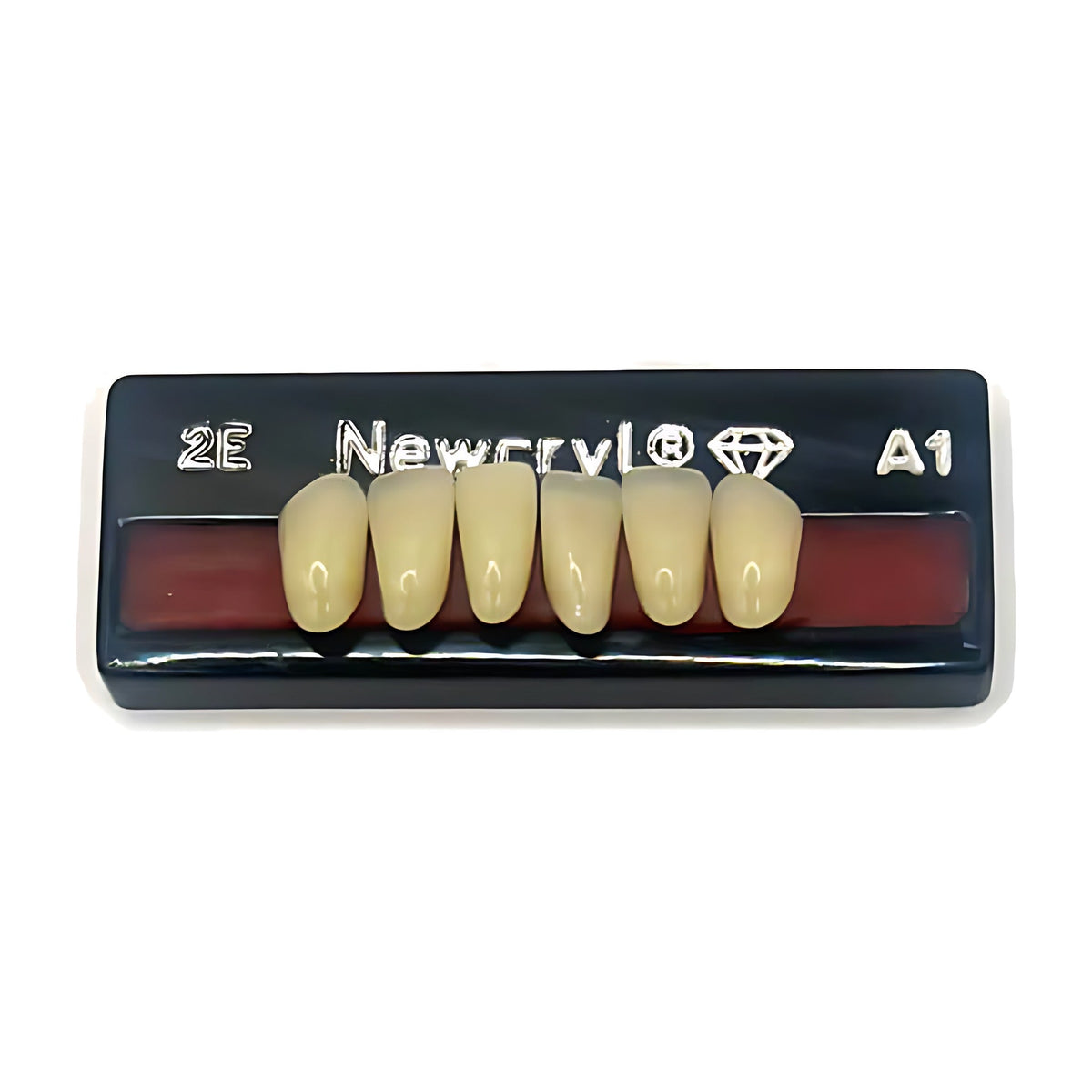 Dientes newcryl inferior anterior