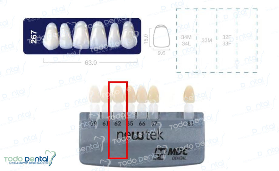 Diente new tek anterior inferior