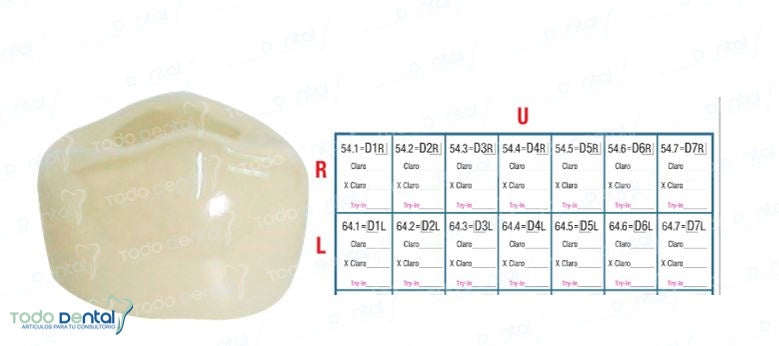 Corona zirconia nusmile posterior 1er molar y 2do molar
