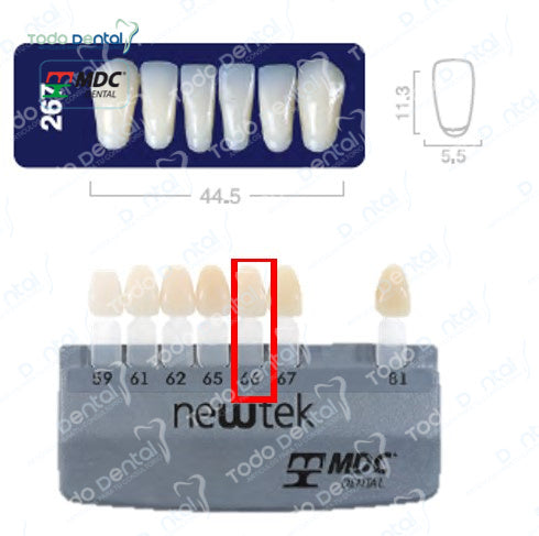 Diente new tek anterior inferior