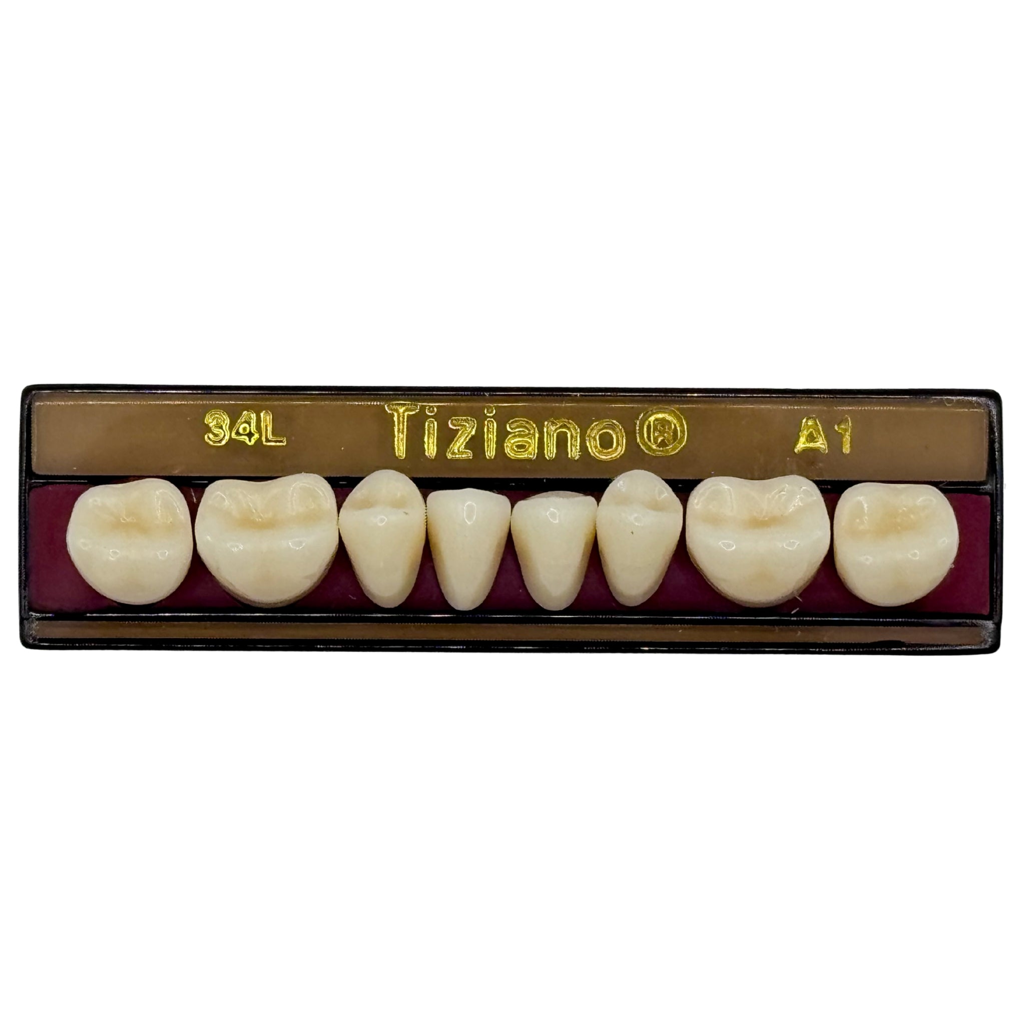 Dientes tiziano x 8 ip 34L col A1