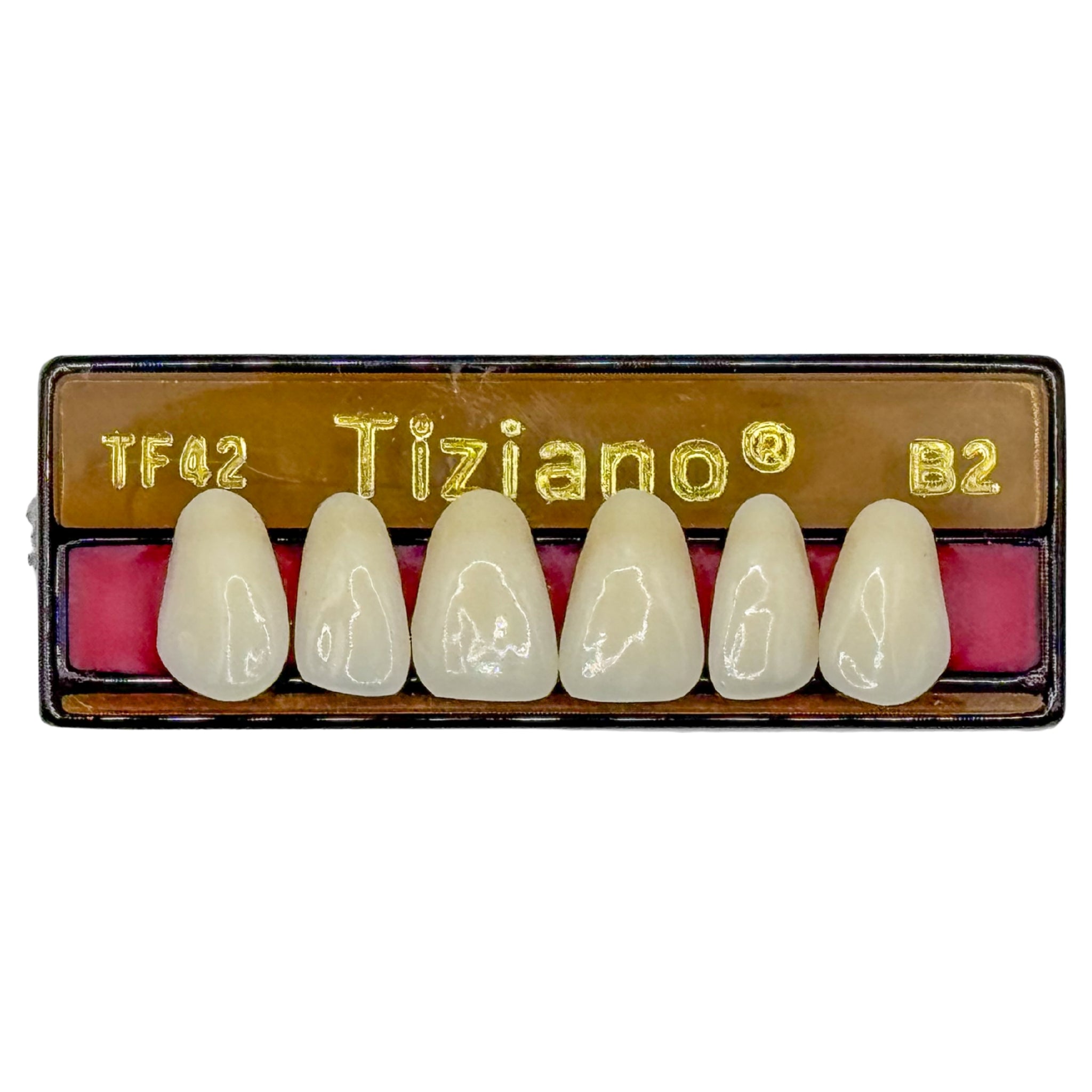 Dientes tiziano x 6 sa TF42 col B2
