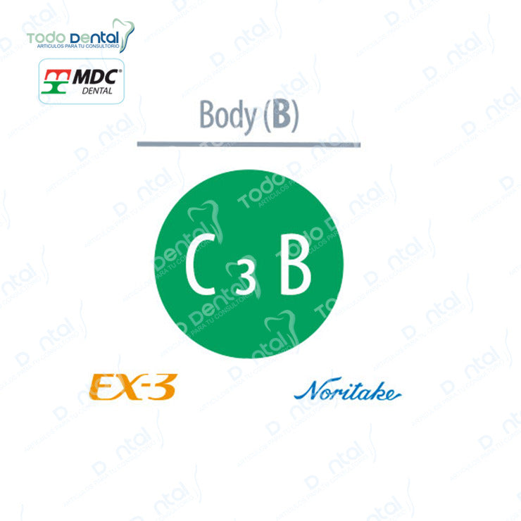 Ex-3 Noritake(Body, Enamel, Opacius body)