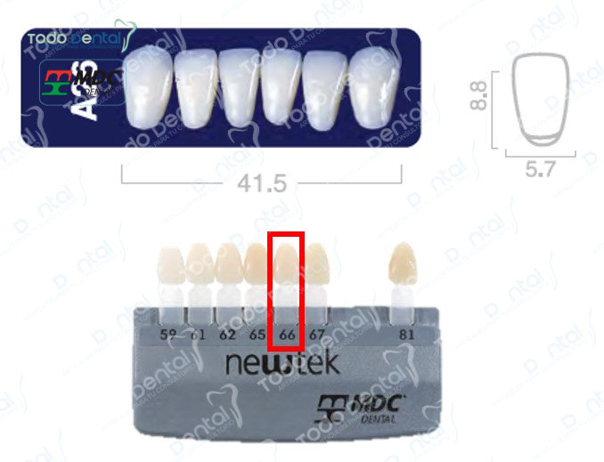 Diente new tek anterior inferior