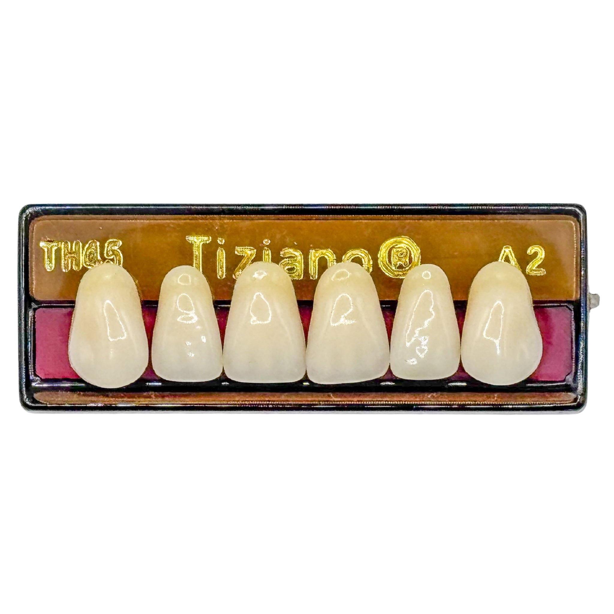 Dientes tiziano x 6 sa TH45 col A2