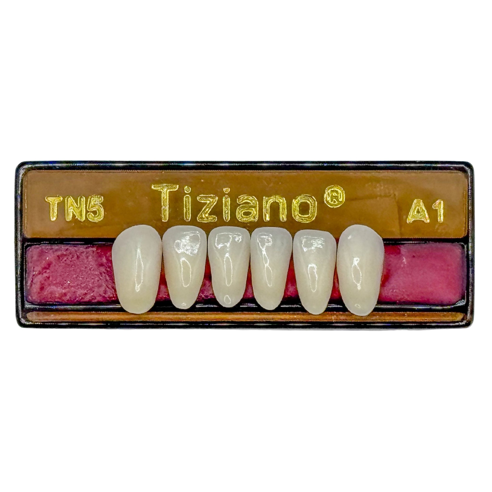 Dientes tiziano x 6 ia TN5 col A1