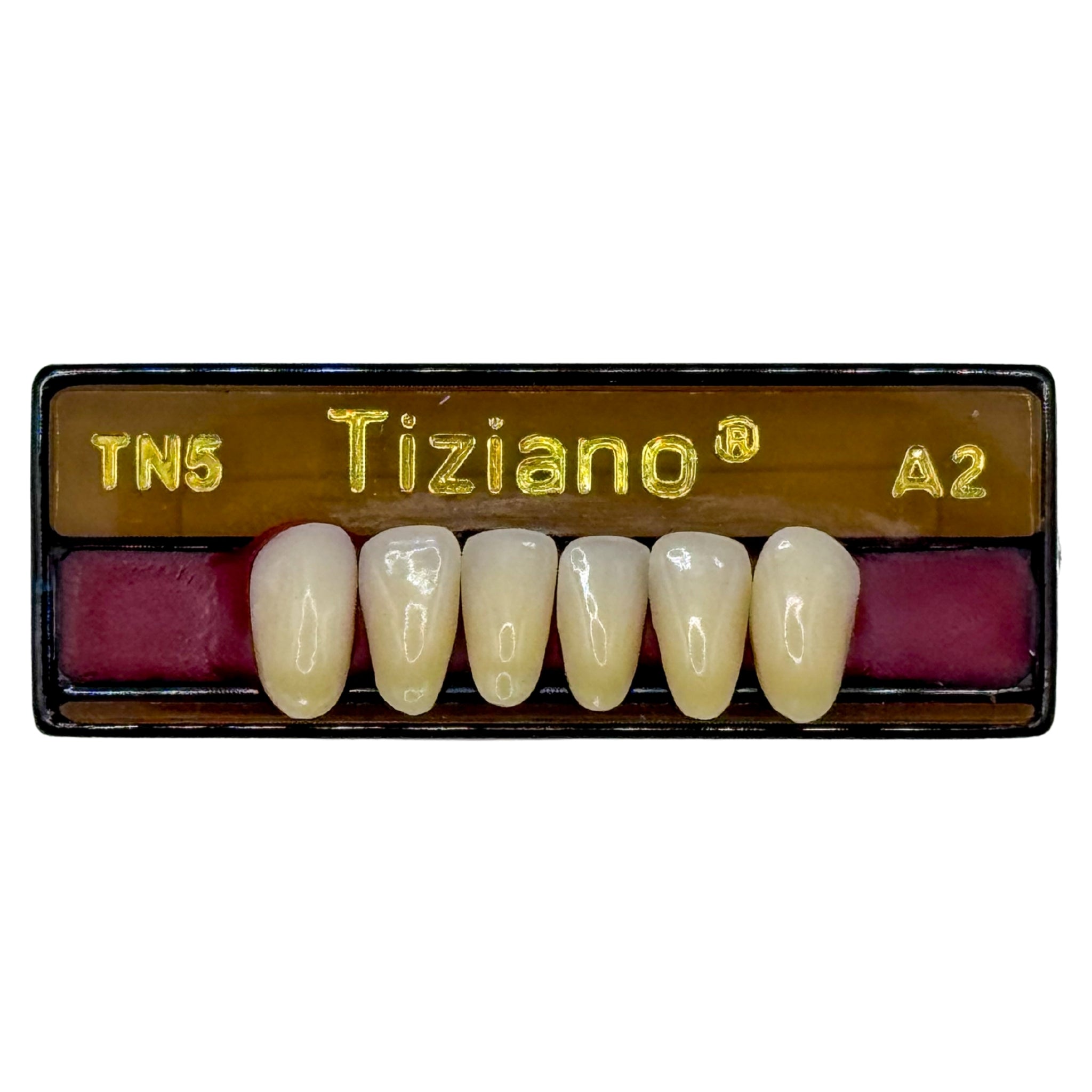 Dientes tiziano x 6 ia TN5 col A2