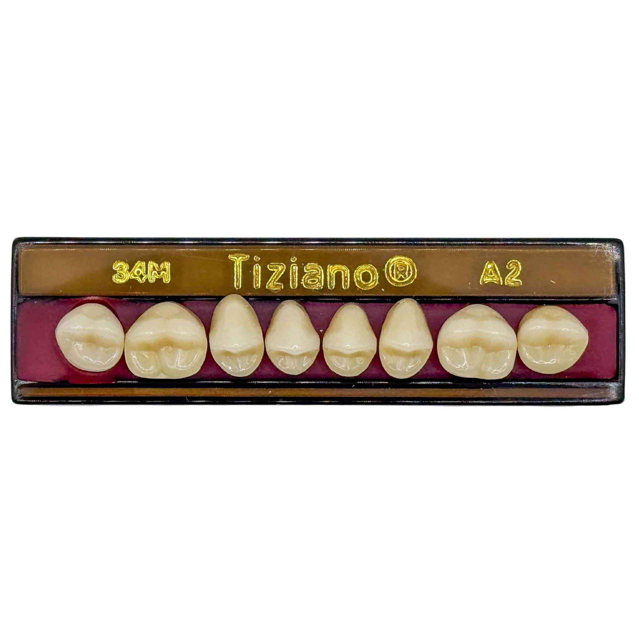 Dientes tiziano x 8 sp 34M col A2
