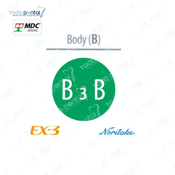 Ex-3 Noritake(Body, Enamel, Opacius body)