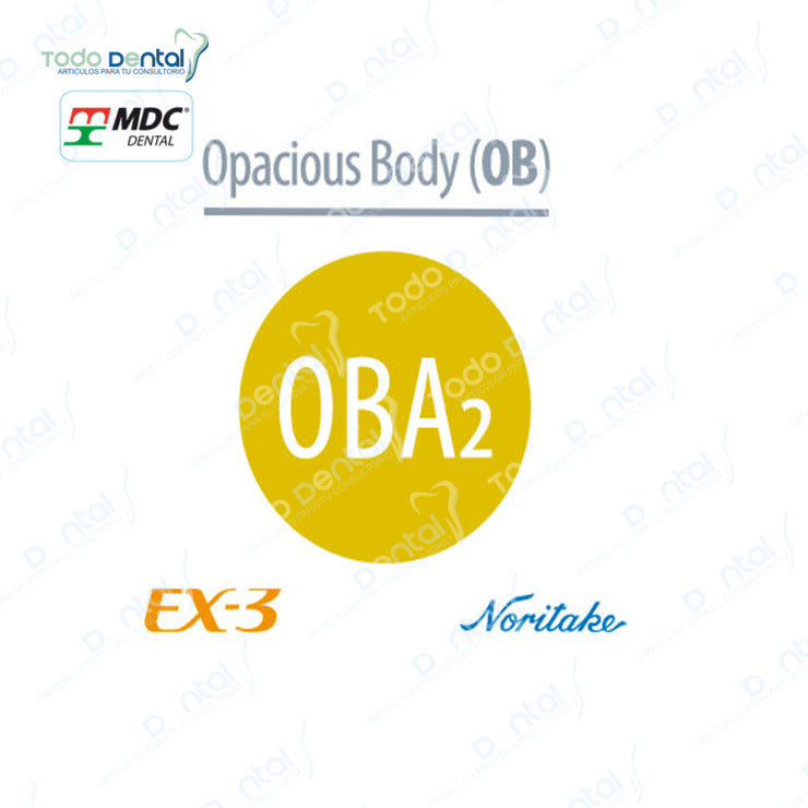 Ex-3 Noritake(Body, Enamel, Opacius body)