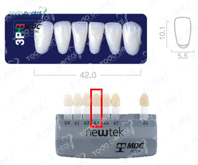 Diente new tek anterior inferior
