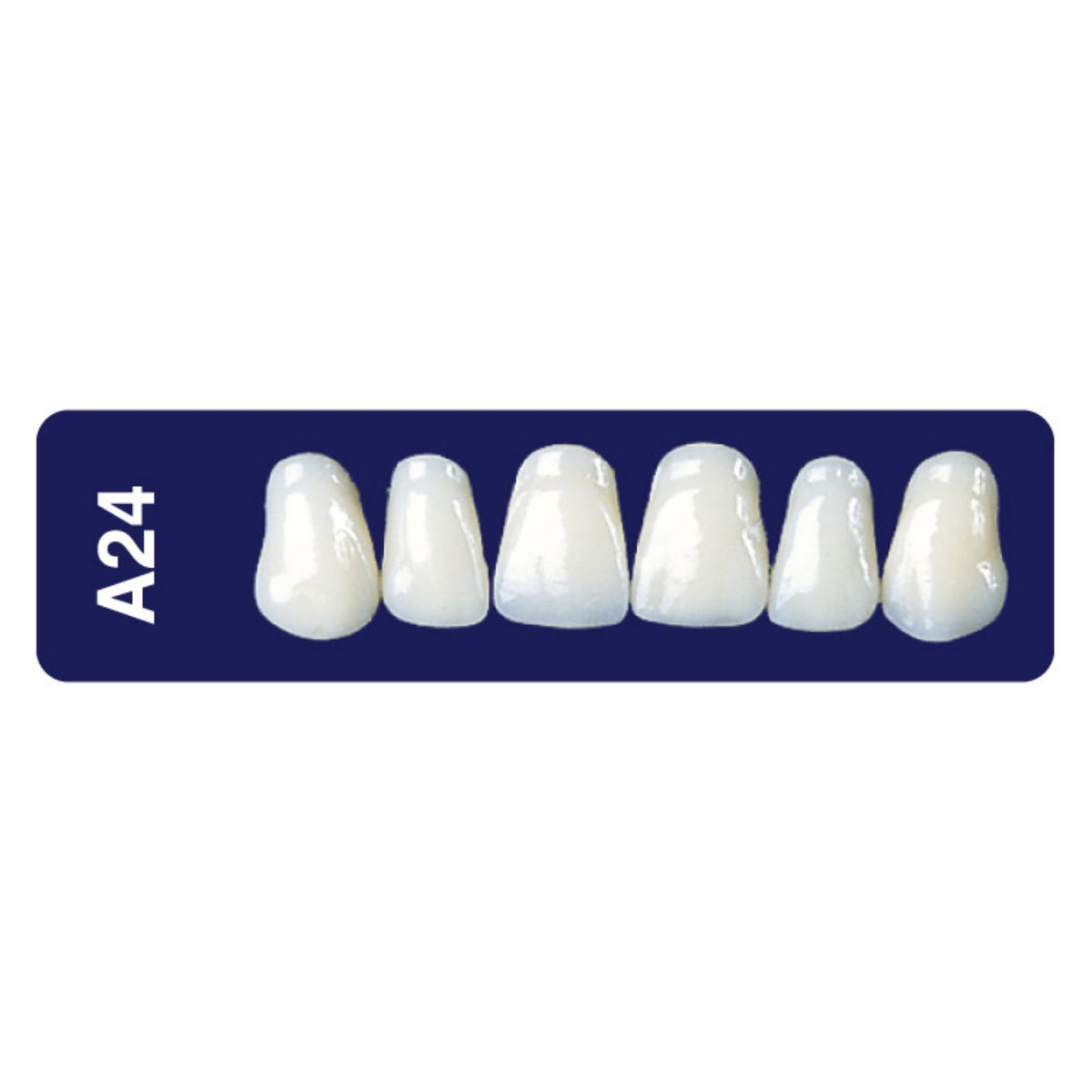 Diente new tek anterior superior — 150-A24-65S