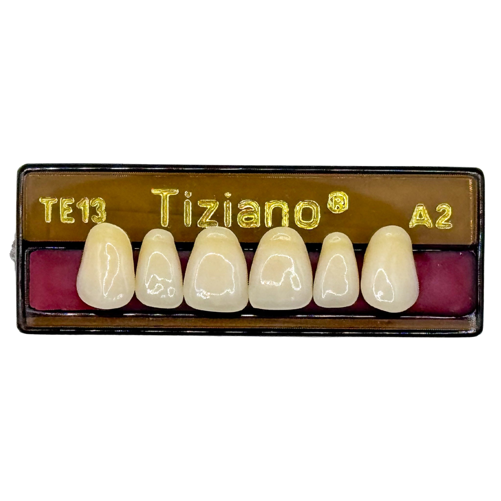 Dientes tiziano x 6 sa TE13 col A2