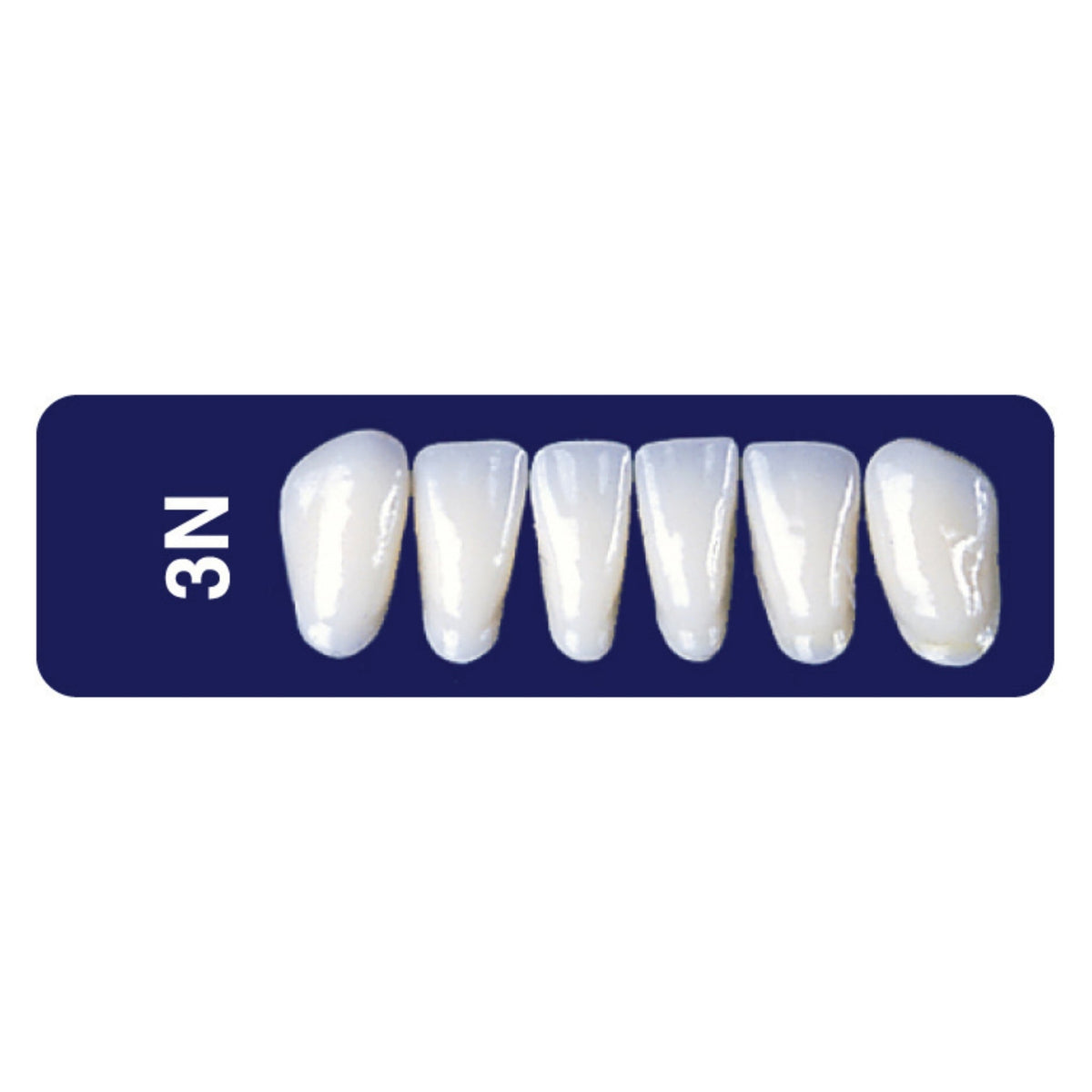 Diente new tek anterior inferior — 150-3N-66I