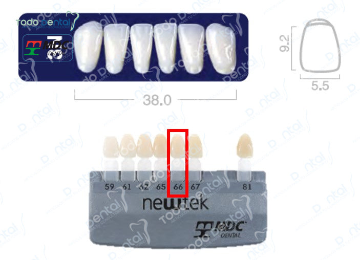 Diente new tek anterior inferior