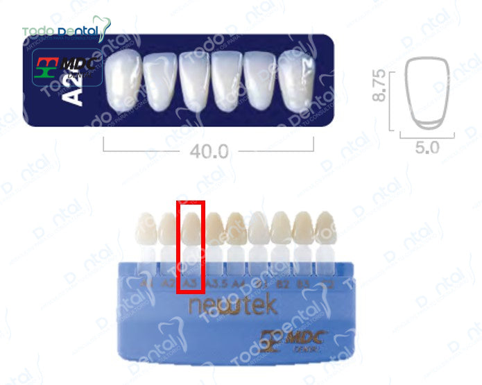 Diente new tek anterior inferior