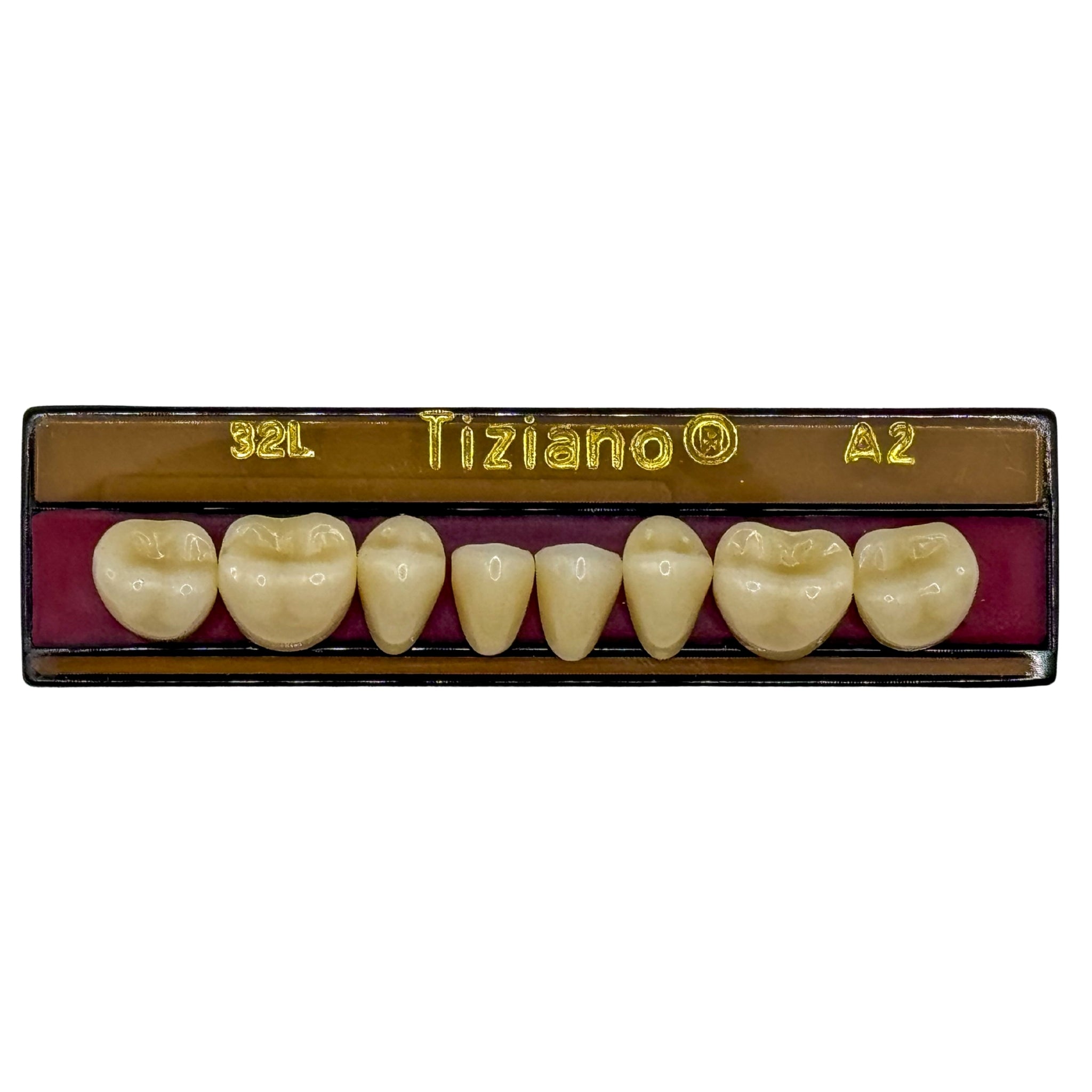 Dientes tiziano x 8 ip 32L col A2