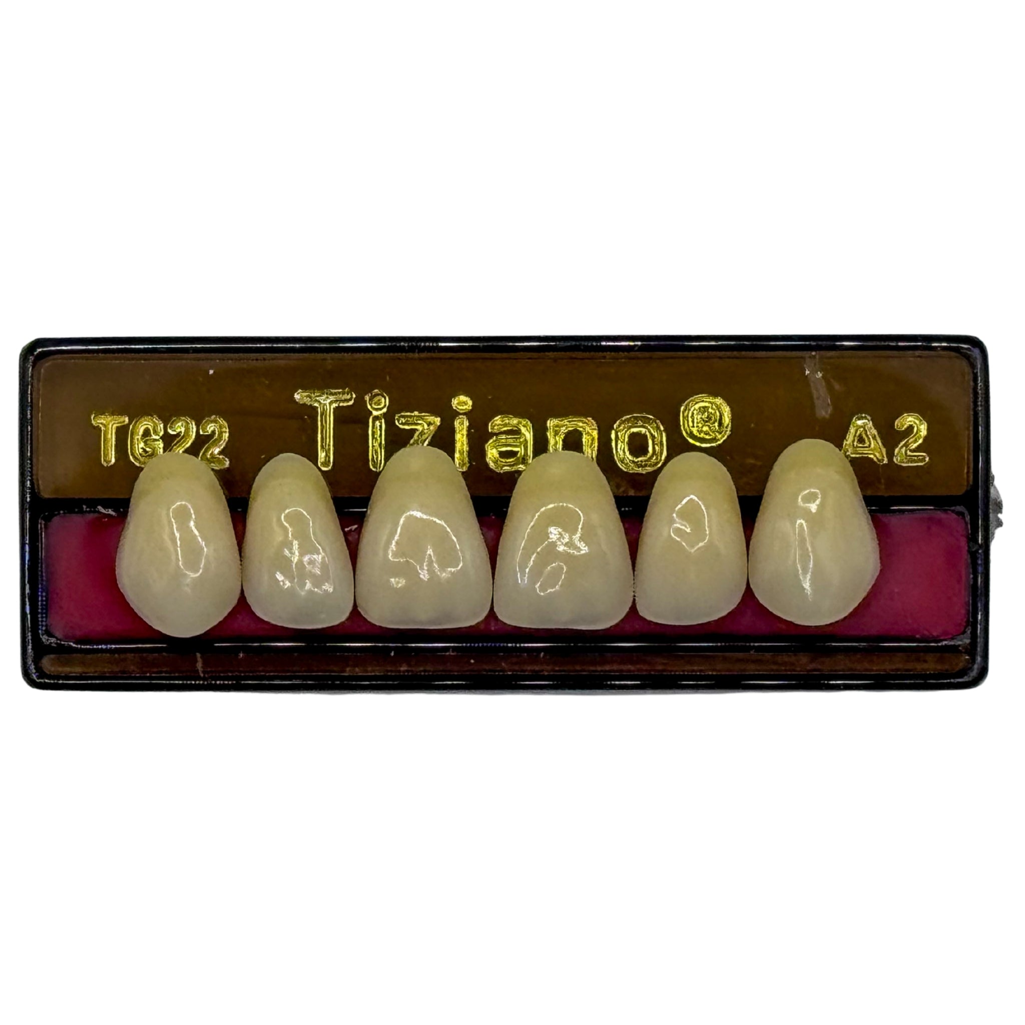 Dientes tiziano x 6 sa TG22 col A2