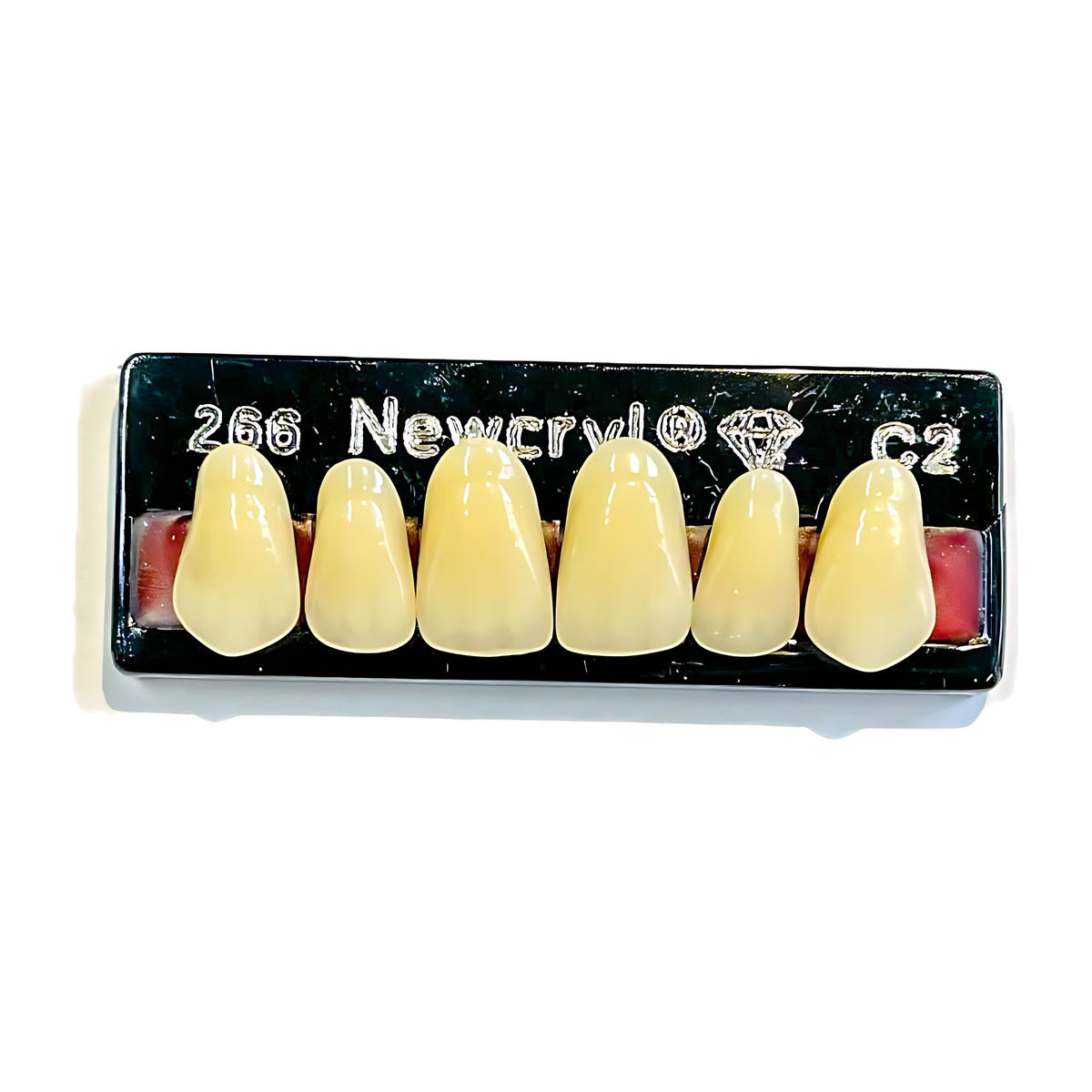 Dientes newcryl superior anterior moldes grandes