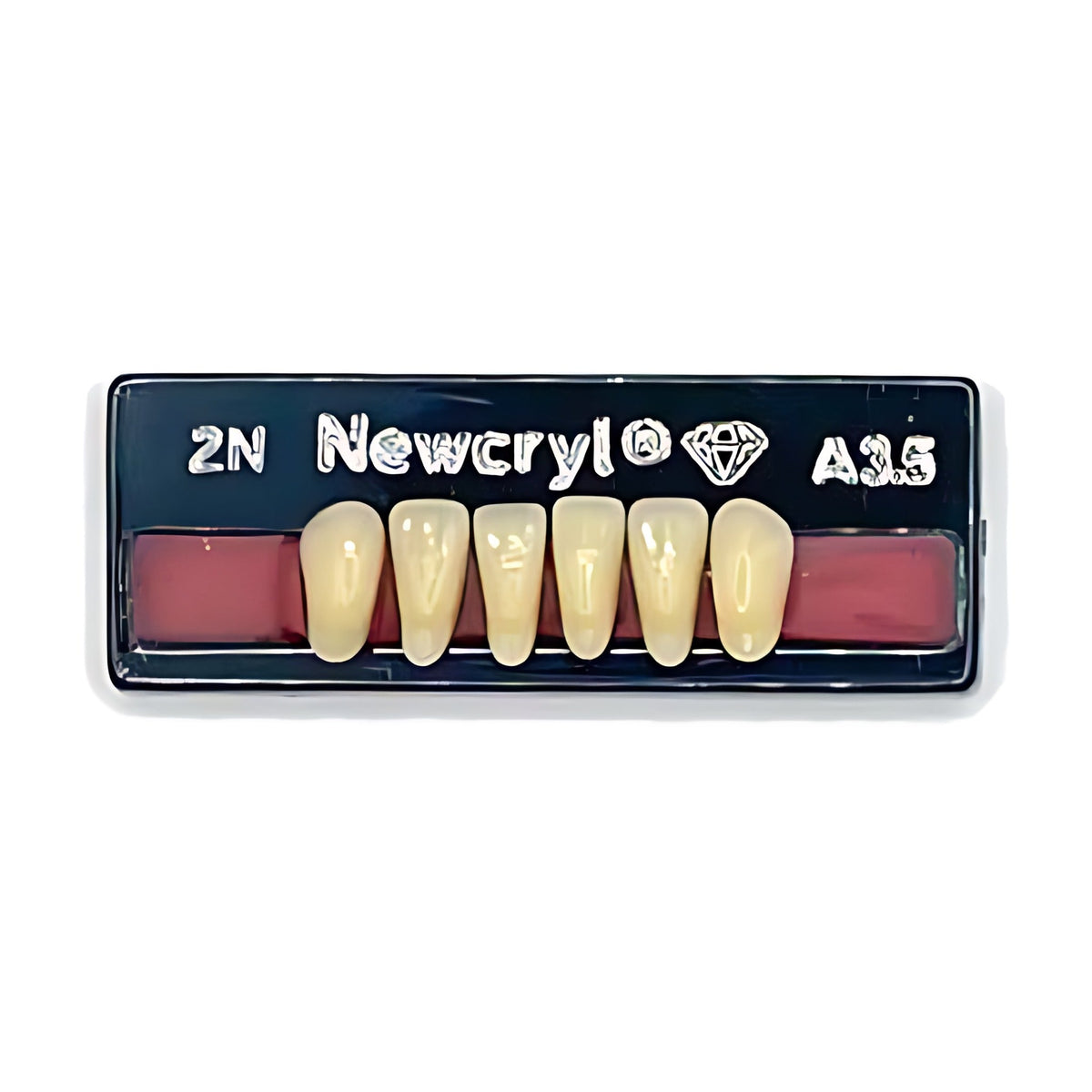 Dientes newcryl inferior anterior