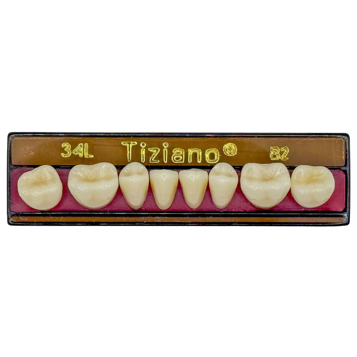 Dientes Tiziano inferior posterior
