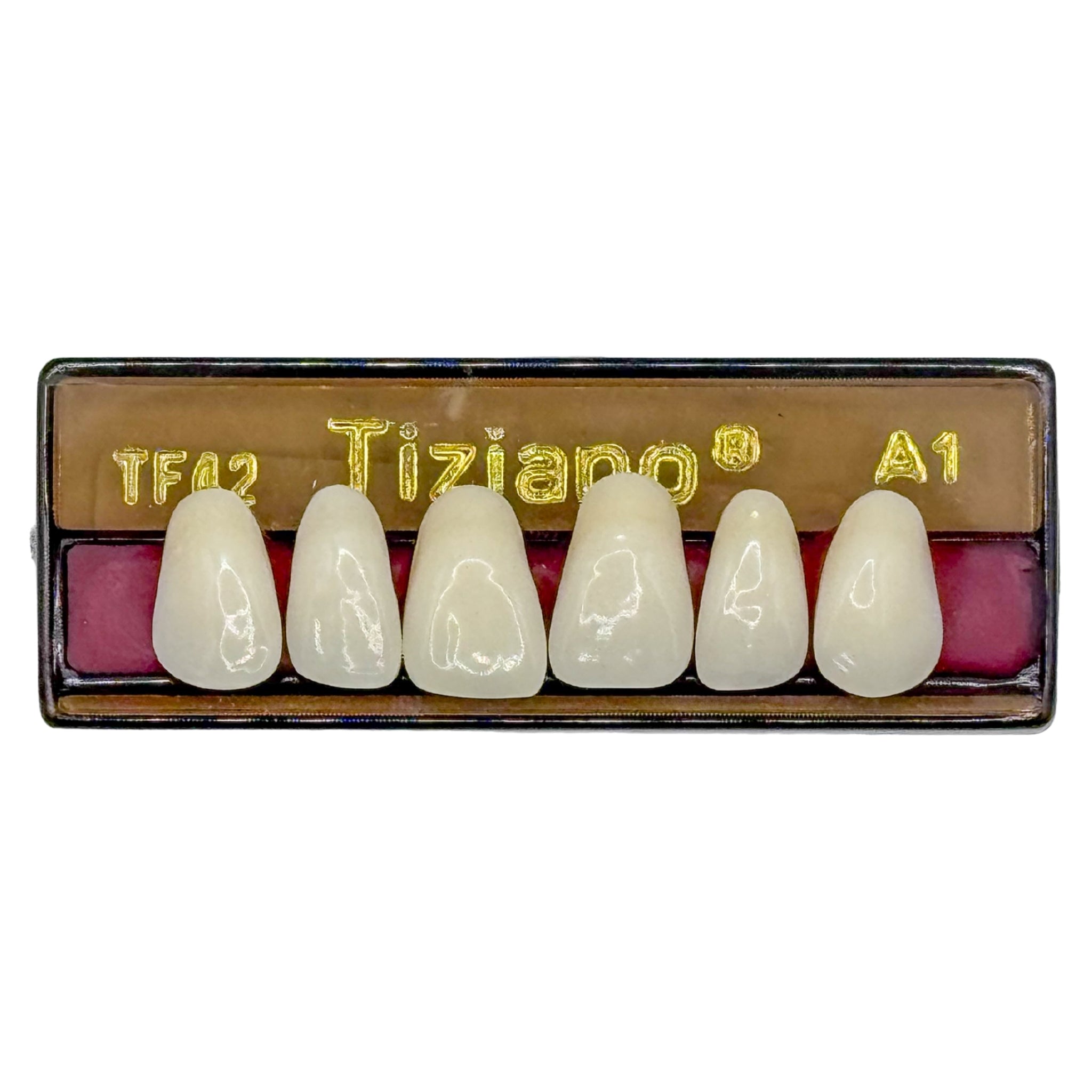 Dientes tiziano x 6 sa TF42 col A1