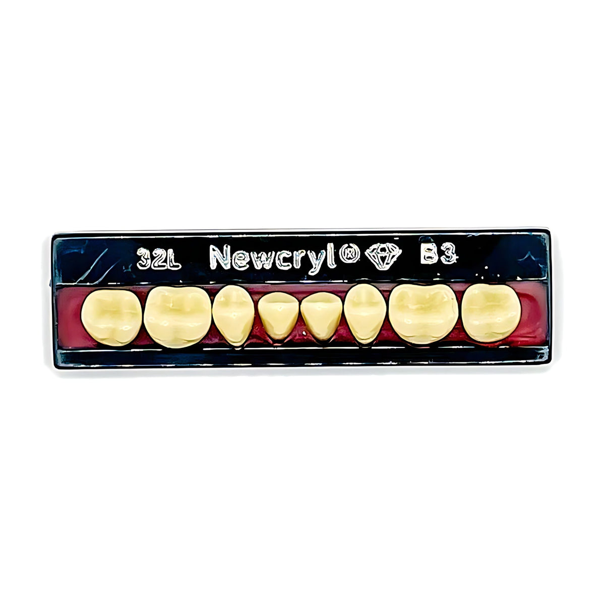 Dientes newcryl inferior posterior
