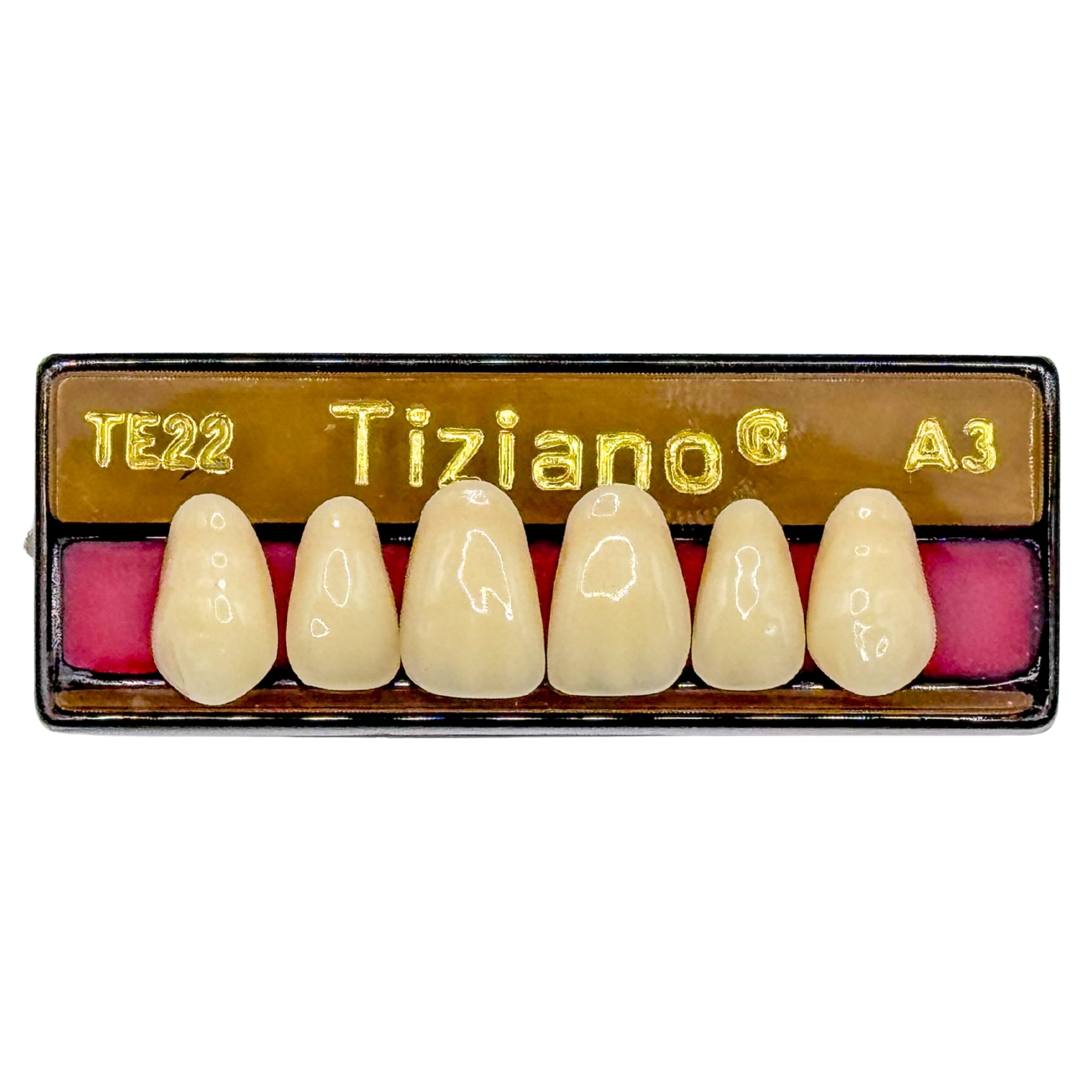 Dientes tiziano x 6 sa TE22 col A3