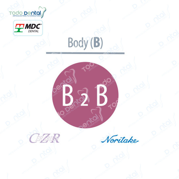Czr. Noritake (Base,Margin, Body,Enamel, Opacius body)